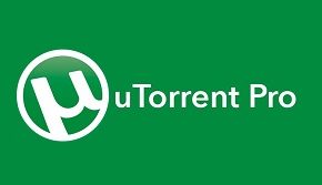 utorrent pro free download